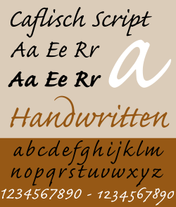 Script Typeface
